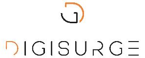 DigiSurge